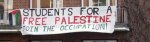 Student for a free palestine - occupations