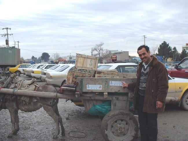 CE and a donkey cart
