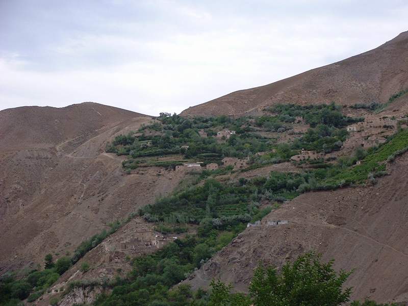 Green village on mountainside