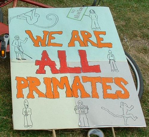 We are all primates