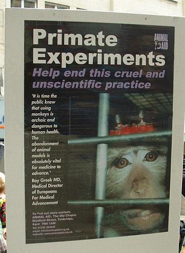 Primate experiments - Animal Aid poster